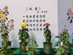 -南山植物园