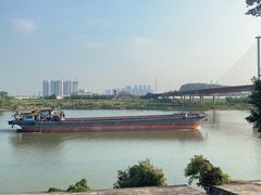 -王借岗森林公园