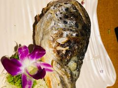 -花枝日本料理(金沟河店)