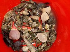 -北海金海湾红树林生态旅游区