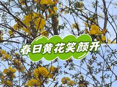 -重庆彩云湖湿地公园
