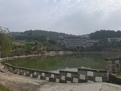 -铁山坪森林公园