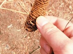 -长春公园(普阳街道)