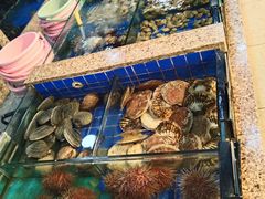 水产区-皇朝海鲜酒店