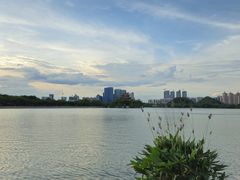 -顺峰山公园