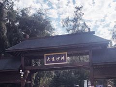 -大京沙滩