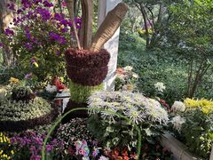 -杭州植物园