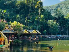 -西双版纳原始森林公园