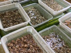 -南庄酒家·海鲜粤菜·25年老字号(环城南路店)