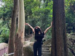 -火炉山森林公园