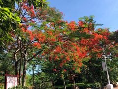 -白沙门生态公园