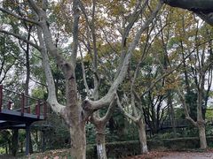 -南通濠河风景名胜区