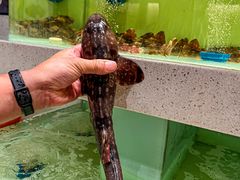 -至尊鲨鱼·原烹海鲜·新浙菜(拱宸桥店)