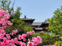 -牛首山文化旅游区