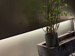 -望京辣宴·古法川菜(望京店)