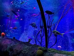 -沈阳海洋探索中心