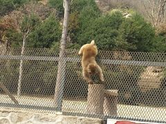 景点-云台山风景名胜区