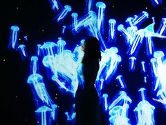 -暹罗海洋世界