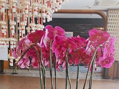 -栾氏荟(柳园店)