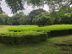 -荔香公园
