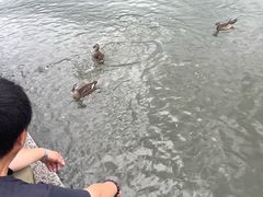 -杭州湖滨in77