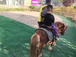 -萌宠亲子动物乐园(槐房万达店)