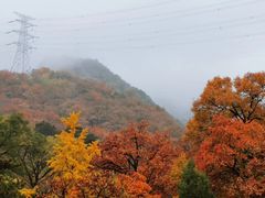 -阳台山自然风景区