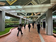 -香港大学