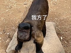 -济南野生动物世界