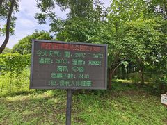 -同里国家湿地公园