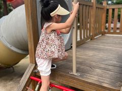 -枫香湖儿童公园