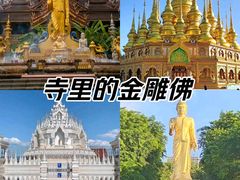 -西双版纳傣族园