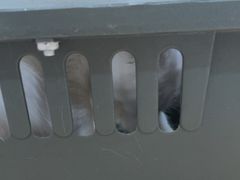 -瑞鹏宠物医院·超声·骨科·奇麟分院(蜀都万达店)