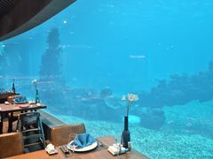 -海棠湾洲际-涛·海底餐厅·美人鱼·自助餐·海底隧道