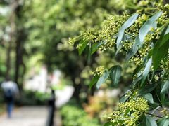 -广州市白云山风景名胜区