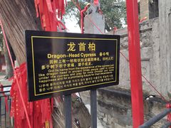 -关林
