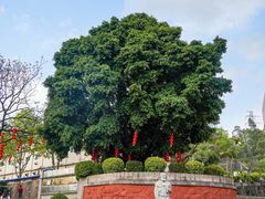 -广州神农草堂中医药博物馆