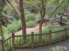 -铁山坪森林公园