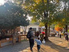 -HERRE·FARM 赫尔露营农场·团建聚会包场