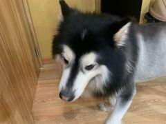 -白兔子密室(长寿路店)