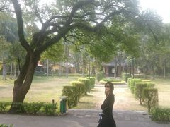 -中山大学学者灵芝(园南路店)