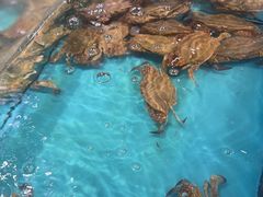 -拉完海鲜大排档(温岭店)