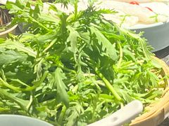 有机蔬菜-大匠工房古船木艺术餐厅·猪肚鸡专门店(长白仙岛店)