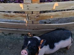 -祥源·阜阳生态乐园