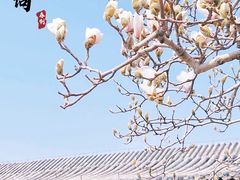 -颐和园