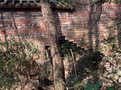 -南山植物园