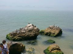 -海驴岛(荣成市)