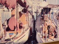 -映像威海·海鲜味道(经区店)