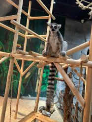 -Zoolung Zoolung动物主题公园(海信广场店)