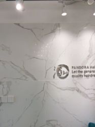 -潘多拉Hairsalon